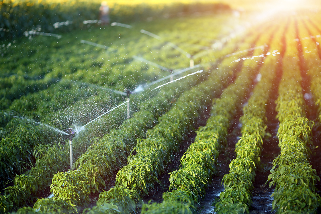 Irrigation Solutions